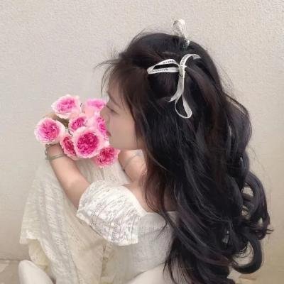 马拉喀尔：阿拉伯海狮